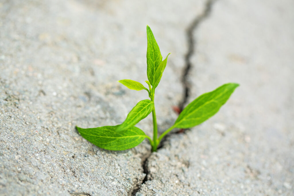 hope