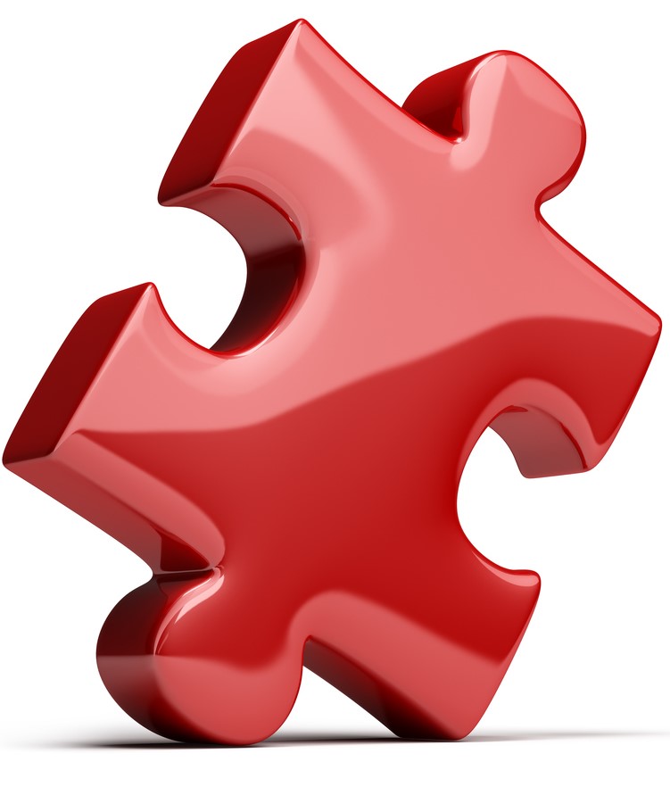Supporting Families Navigating the NDIS puzzle